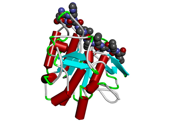 Estructura en 3D de la enzima Valkerase