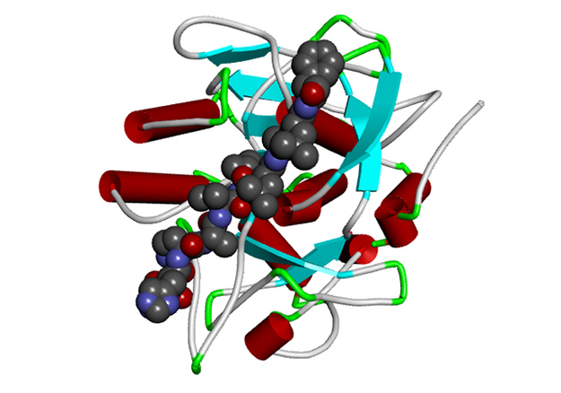 3D structure of Versazyme enzyme