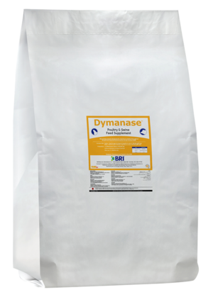 Dymanase-Angle-2023-v01